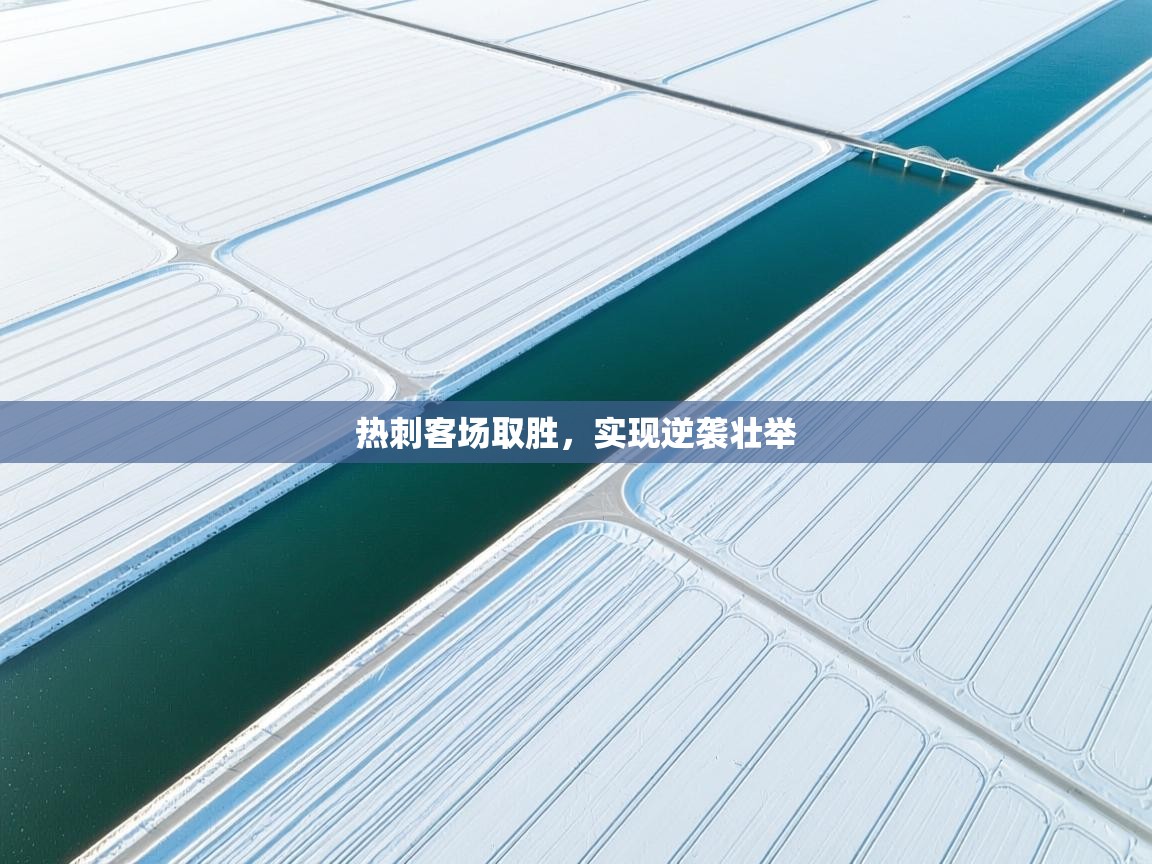 热刺客场取胜，实现逆袭壮举  第1张