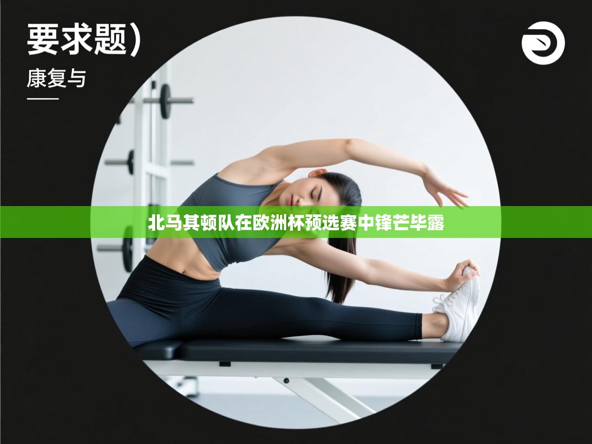 北马其顿队在欧洲杯预选赛中锋芒毕露 第2张