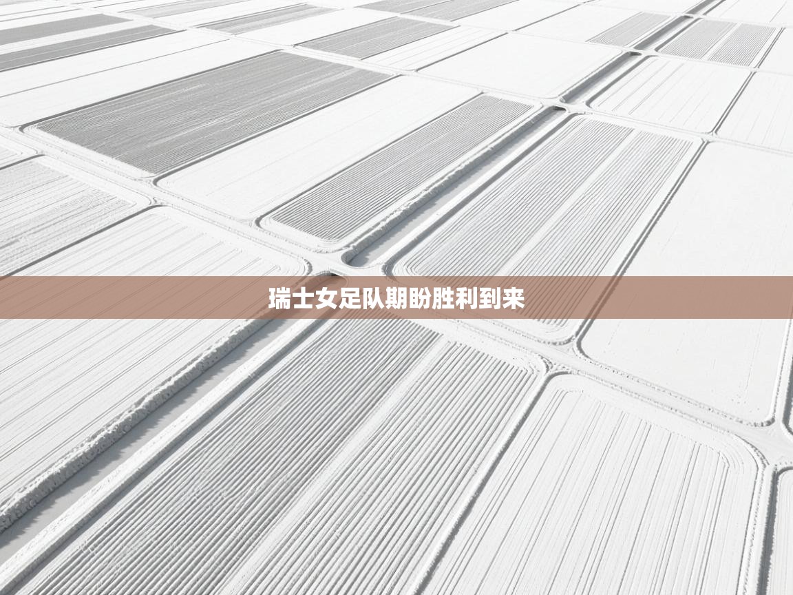 瑞士女足队期盼胜利到来 第1张