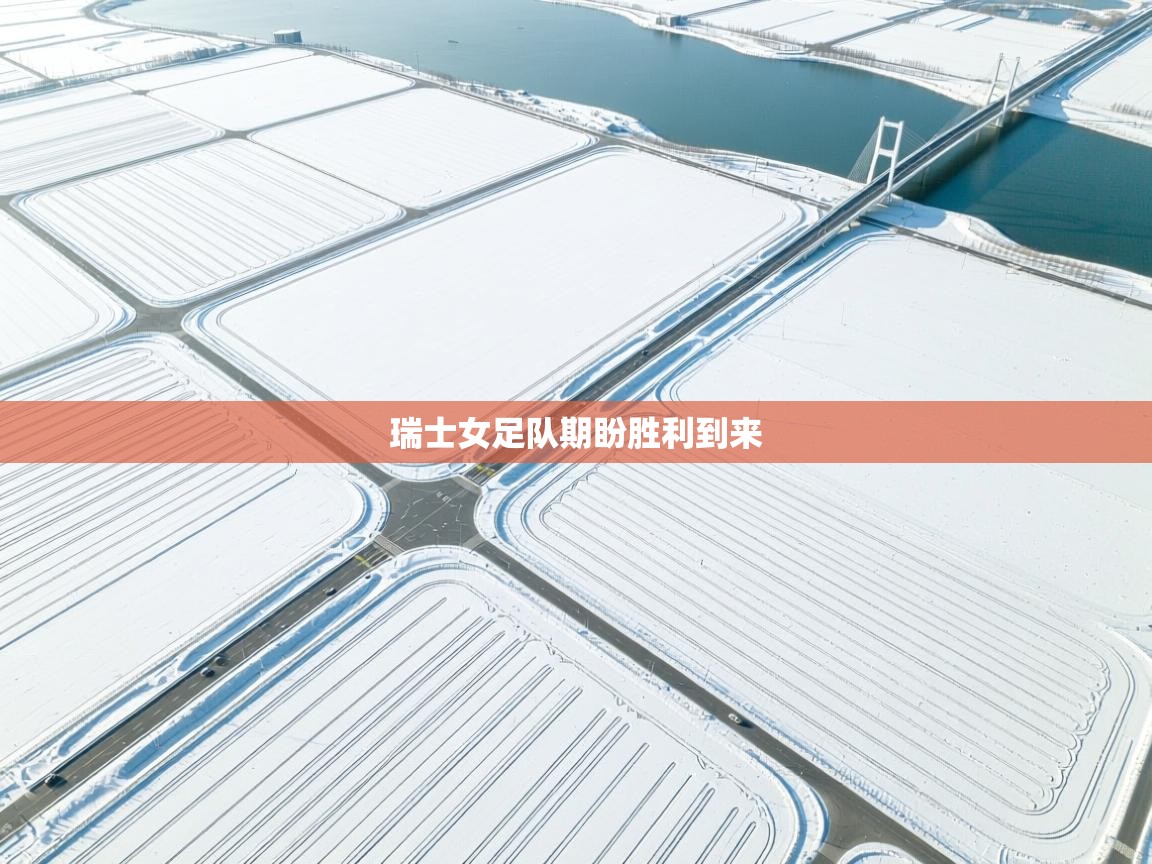 瑞士女足队期盼胜利到来 第2张