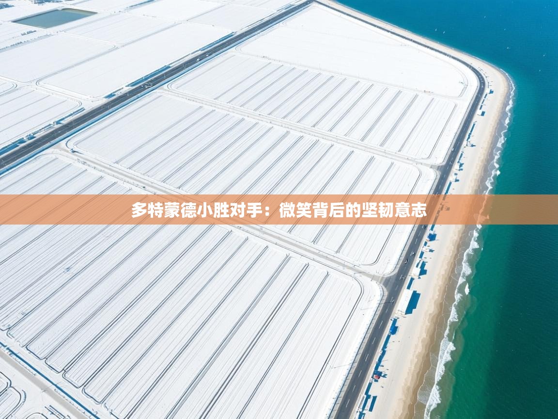 多特蒙德小胜对手：微笑背后的坚韧意志  第2张