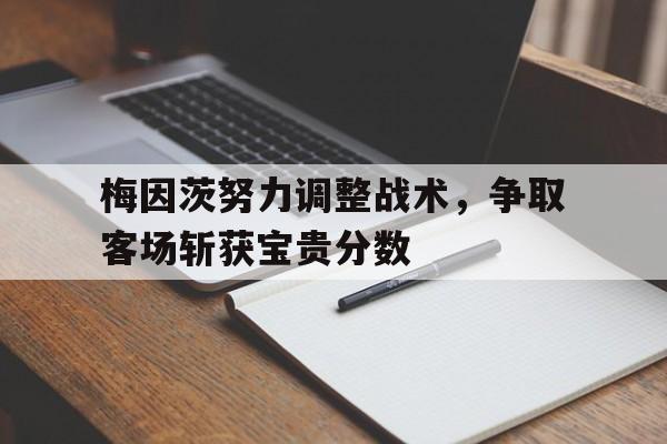 开云体育在线观看-梅因茨努力调整战术，争取客场斩获宝贵分数的简单介绍
